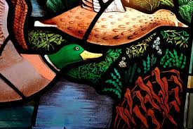 images-55